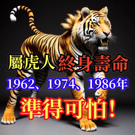 1986年屬虎|揭秘：1986肖虎人一生中的三大貴人